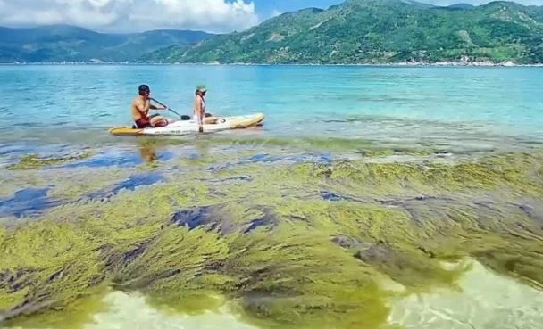 Phát hiện hòn đảo nước trong veo nhìn thấy đáy ở Phú Yên