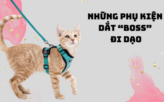 6 món đồ có thể giúp bạn dắt 'boss' đi chơi vừa an toàn mà cũng rất thời trang