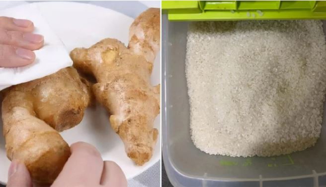 Thả củ gừng vào thùng gạo: Lợi ích bất ngờ, ai không biết thật phí