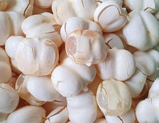 Quả này nấu chè thì tuyệt ngon, ăn nhiều giúp chống căng thẳng, mệt mỏi, giá chỉ khoảng 20.000 đồng/quả