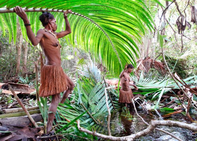 Khám phá bộ lạc sống trên cây, từng có tục săn đầu người và ăn thịt người 