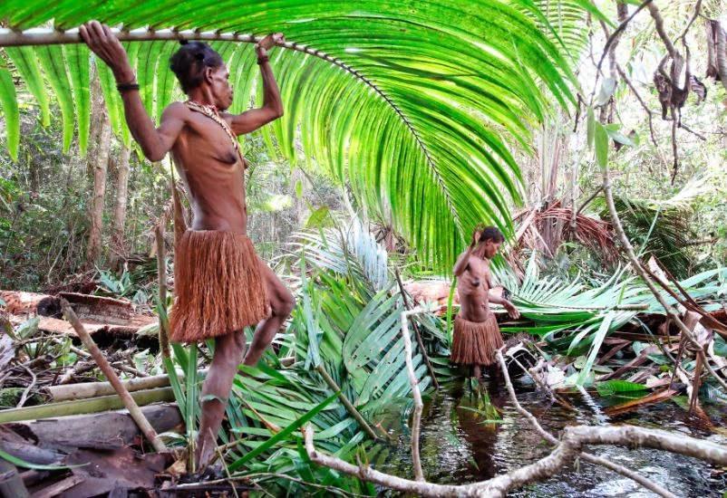 Người Korowai.