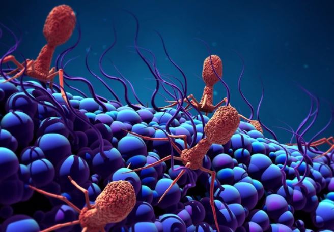 Bí ẩn về hình dạng cơ thể lạ kỳ của vi khuẩn biển sâu