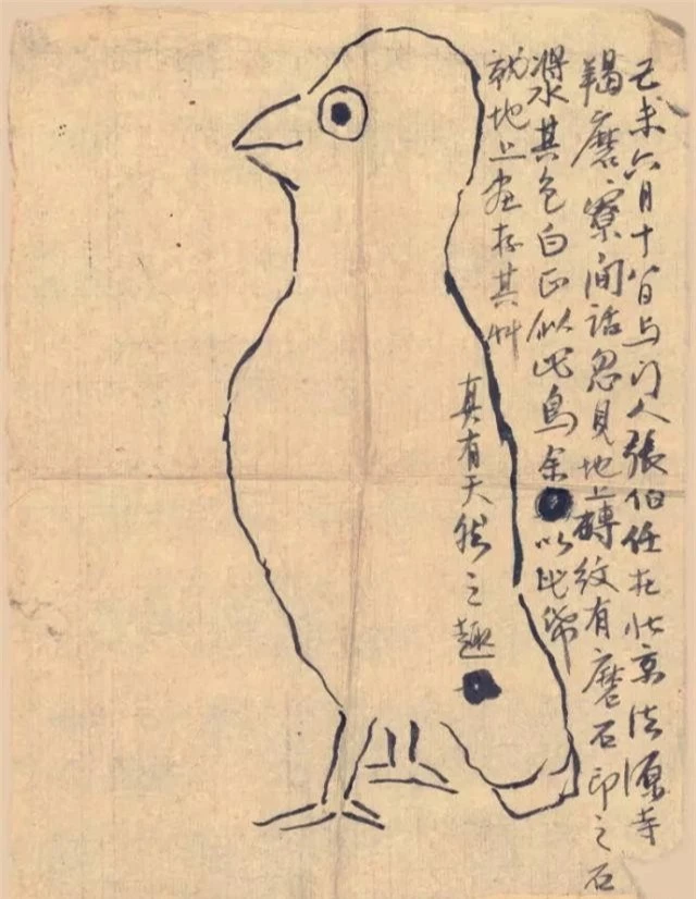 Bức tranh vẽ con chim gây tranh cãi của cố danh họa