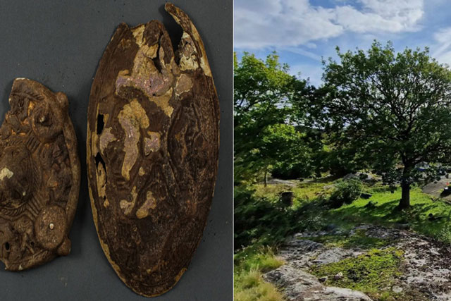 Người đàn ông phát hiện ‘kho báu quý giá’ 1000 năm tuổi dưới gốc cây, được dùng trong nghi lễ cổ xưa