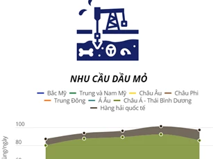 IEA: Nhu cầu nhiên liệu hóa thạch đạt đỉnh trong thập kỷ này