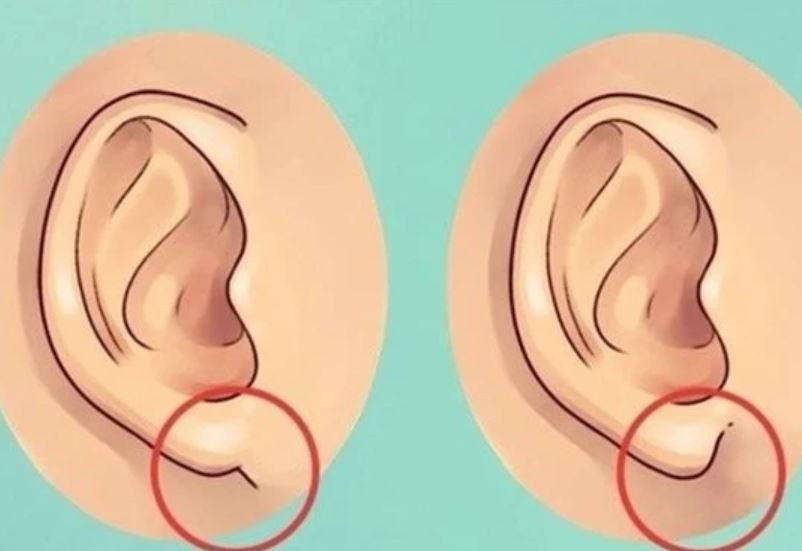 Nhìn vào tướng tai 5 giây biết được ai mang vận đại cát trọn đời, ai 'long đong lận đận' cả 1 kiếp