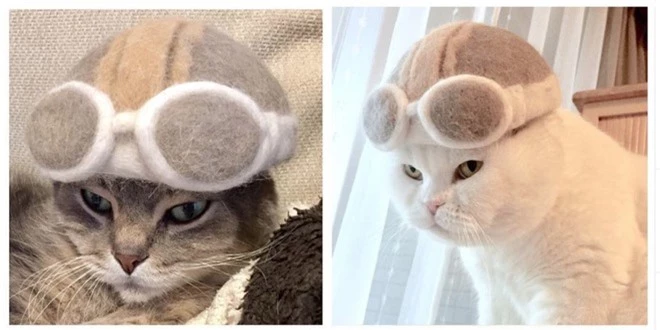 Chải ra cả tấn lông thừa, cặp vợ chồng hô biến chúng thành những chiếc mũ siêu đáng yêu cho mèo nhà mình - Ảnh 10.