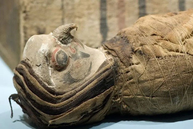 Một dòng chữ bí ẩn, 15 con chim ưng không đầu và các nghi lễ cổ xưa chưa được biết đến được tìm thấy trong một ngôi đền Ai Cập cổ đại!