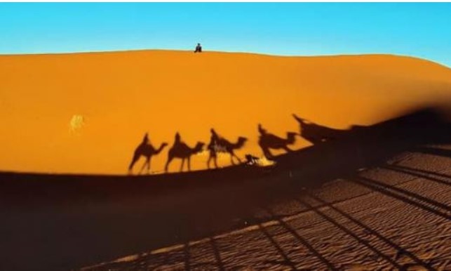 Sa mạc Sahara được hình thành như thế nào? Điều gì sẽ xảy ra nếu cát ở Sahara được đào lên?