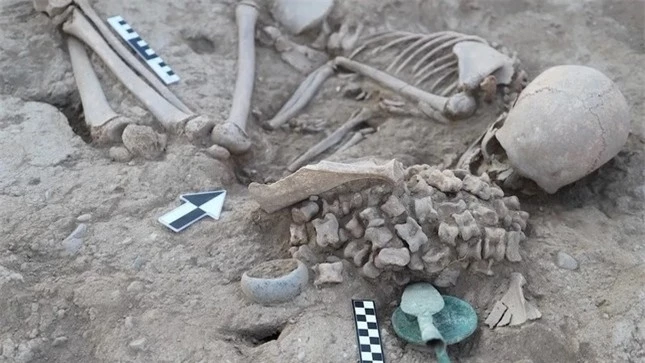 Bí ẩn cô gái được chôn cùng hơn 150 bộ xương động vật ảnh 1
