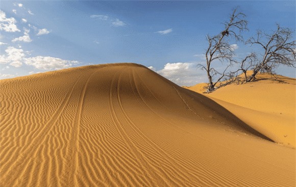 1-duoi-lop-cat-sa-mac-co-gi-ngoisaovn-w1060-h670 7 sa mạc, sa mạc sahara, bí ẩn trên sa mạc