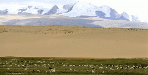 5-duoi-lop-cat-sa-mac-co-gi-ngoisaovn-w1020-h518 3 sa mạc, sa mạc sahara, bí ẩn trên sa mạc