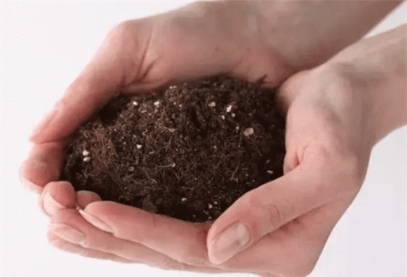 7duoi-lop-cat-sa-mac-co-gi-ngoisaovn-w700-h477 2 sa mạc, sa mạc sahara, bí ẩn trên sa mạc