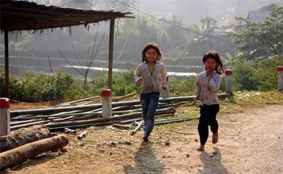 chay (1).jpeg 4 chấy, rận, sinh vật