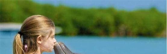 ca-heo (1).jpg 1 cá heo, biến thái, khám phá khoa học