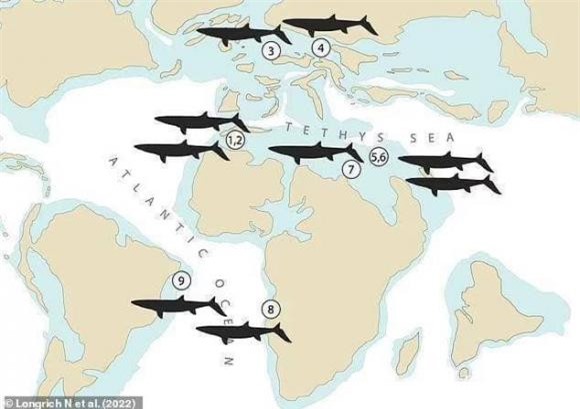 thằn lằn, hóa thạch, khám phá khoa học