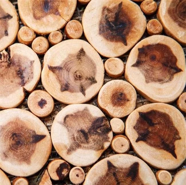 Thứ gỗ quý hiếm được ví là “Vương mộc”, ở Việt Nam không hiếm, giá hàng chục triệu đồng/kg - 6
