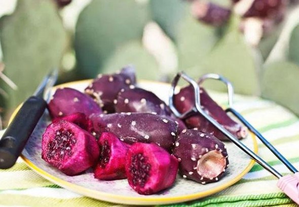 Quả cây dại Việt Nam mọc nhiều chả ai ăn, ở nước ngoài nó ví là 'vàng xanh', giá 300.000 đồng/6 quả