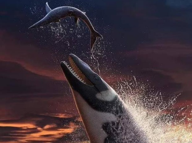 Th&#x1EB1;n l&#x1EB1;n bi&#x1EC3;n d&#xE0;i 9 m&#xE9;t th&#x1ED1;ng tr&#x1ECB; &#x111;&#x1EA1;i d&#x1B0;&#x1A1;ng 66 tri&#x1EC7;u n&#x103;m tr&#x1B0;&#x1EDB;c, v&#x1EDB;i h&#x1ED9;p s&#x1ECD; kh&#x1ED5;ng l&#x1ED3; v&#xE0; h&#xE0;m r&#x103;ng s&#x1EAF;c nh&#x1ECD;n