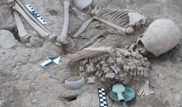 Bí ẩn cô gái được chôn cùng hơn 150 bộ xương động vật