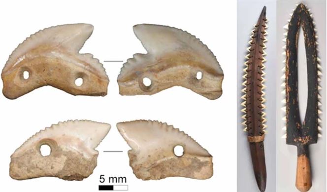 Indonesia: Lộ diện cổ vật 7.000 năm 'độc đáo và chết người'
