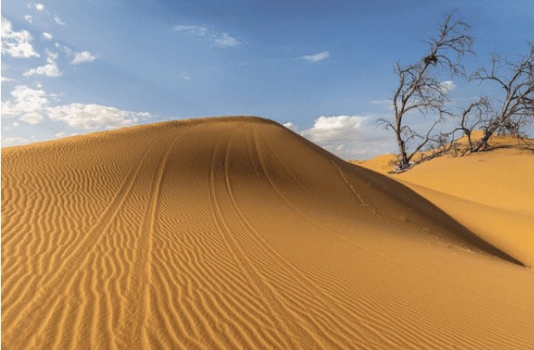 Nếu tất cả cát sa mạc được đào đi, điều gì sẽ xuất hiện ở bên dưới cùng? 