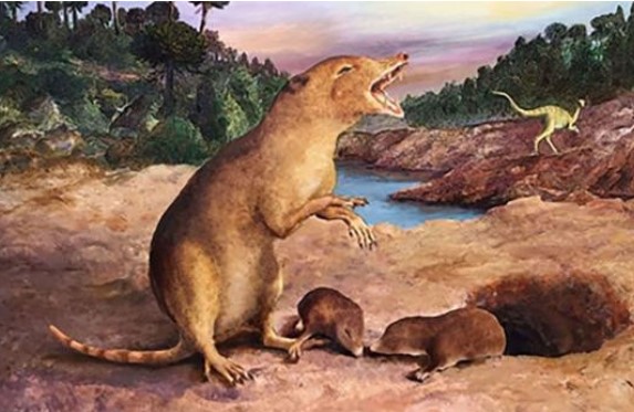 Sinh vật giống chuột chù sống cách đây 225 triệu năm, là động vật có vú lâu đời nhất từng được xác định