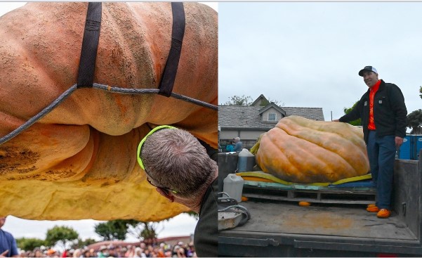 Cận cảnh quả bí ngô 'siêu to khổng lồ' lập kỷ lục lớn nhất thế giới năm 2023: 10 người khiêng mới nổi