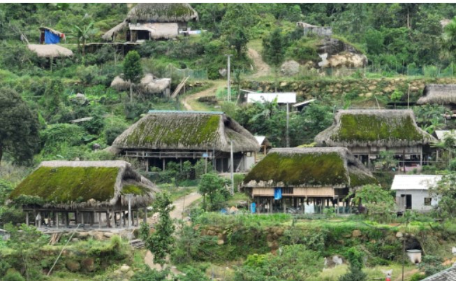 Những mái nhà cọ phủ đầy rêu của người Dao ở Xà Phìn - Hà Giang
