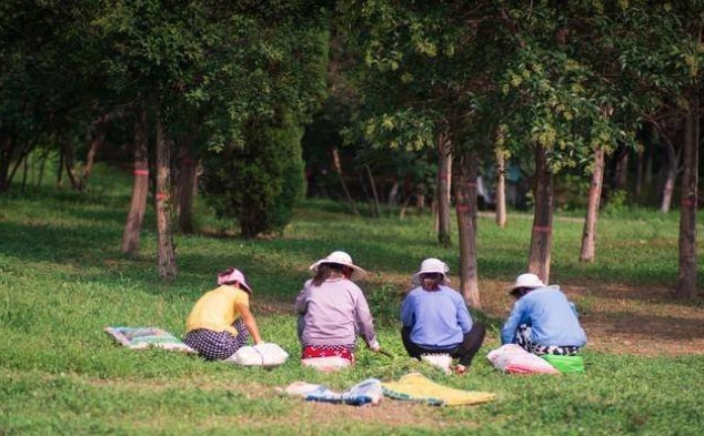 Mẹ già 76 tuổi, lương hưu 6 triệu vẫn đi làm thêm: Con trai ngăn cấm nhưng khi thấy sổ tiết kiệm thì vội đổi thái độ