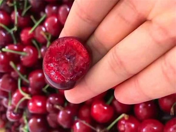 anh-dao (1).jpeg 2 anh đào, cherry, mẹo hay, rửa hoa quả