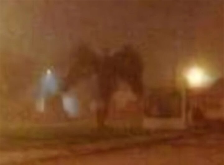 Richard Christianson chụp bức ảnh này vào ngày 1/1/2017, tại Phoenix, Arizona. “Thực tế thì bạn nhìn thấy cái quái gì trong bức ảnh này?”, Richard Christianson chú thích bức ảnh. Hình ảnh đó giống con ác quỷ đi dạo trên phố vắng. Nhiều người cũng tranh cãi xem đó là thiên thần hay ác quỷ. Một số khác lại khẳng định rõ ràng là cây cọ. (Ảnh: Google)