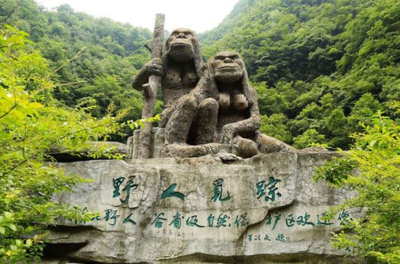 Bí mật sâu trong Shennongjia: Đằng sau khu vực cấm ẩn giấu điều gì?