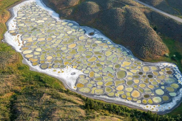 Hồ nước độc lạ nhất thế giới khiến những người mắc "hội chứng sợ lỗ" phải rùng mình