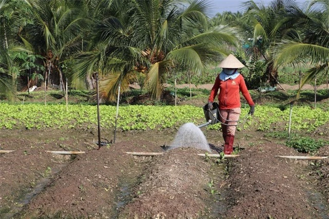 Tham gia BHXH tự nguyện, nông dân cũng có lương hưu - Ảnh 1.