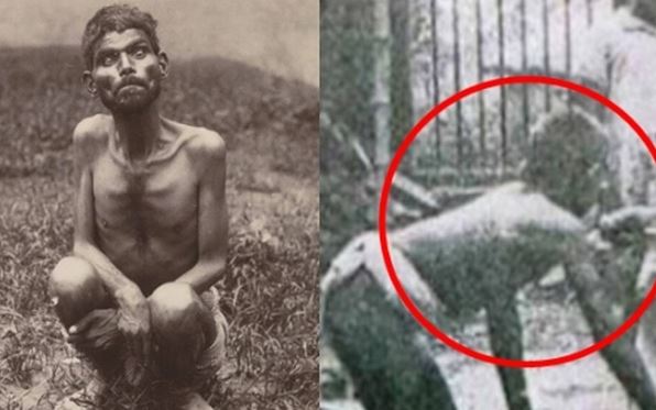 Chuyện bi thảm của 'cậu bé rừng xanh' đời thực: Đấu tranh để thích nghi với thế giới văn minh, chết trong bệnh tật sau 20 năm rời bầy sói