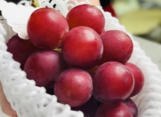 Vì sao nho đắt nhất thế giới lại có giá rẻ bất ngờ?