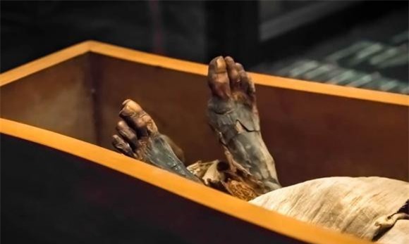 xác ướp, khám phá khoa học, châu chấu