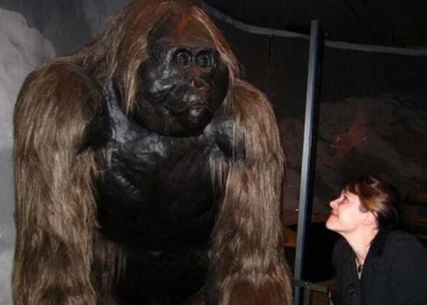 Top 10 lo&#xE0;i &#x27;qu&#xE1;i v&#x1EAD;t&#x27; s&#x1EDF; h&#x1EEF;u k&#xED;ch th&#x1B0;&#x1EDB;c &#x27;kh&#x1EE7;ng&#x27; nh&#x1EA5;t &#x1EDF; th&#x1EDD;i ti&#x1EC1;n s&#x1EED;