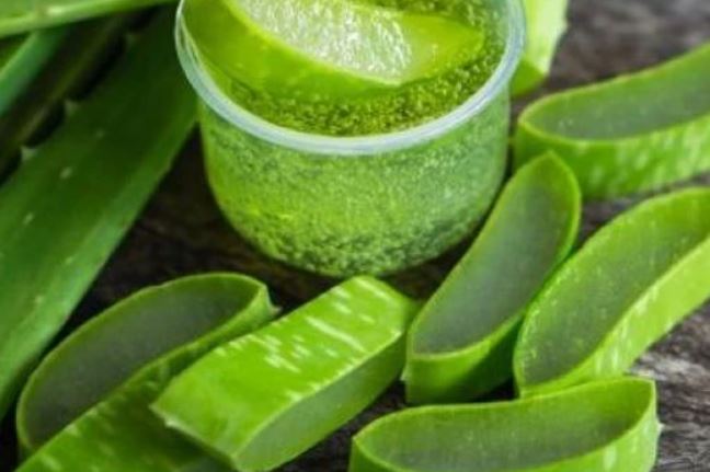 Nhiều người chỉ biết dùng nha đam làm đẹp mà không biết những đại kỵ này rất dễ rước họa