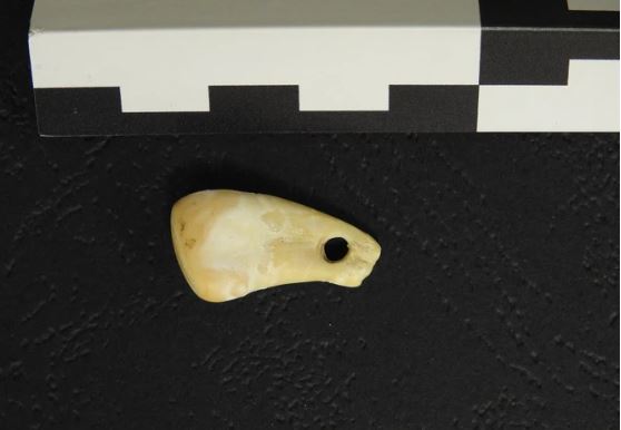 Bất ngờ về cô gái trong 'hang động của loài người khác' ở Nga