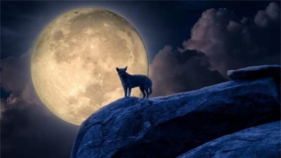 cổ nhân 3 cổ nhân, người xưa, các cụ dạy, người xưa dạy, Một sợ chó khóc nửa đêm, hai sợ gà bay lên mái, ba sợ liễu rậm trước mồ