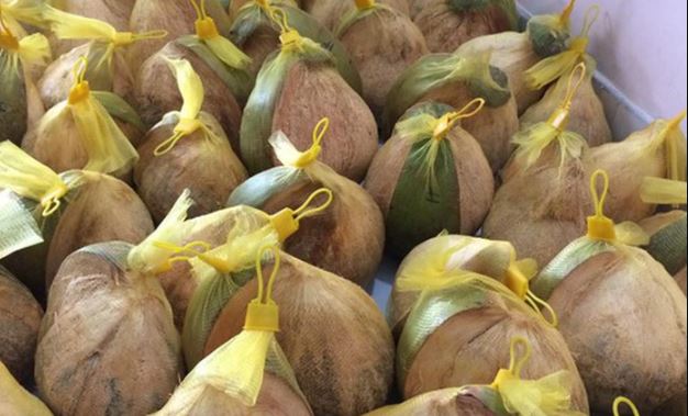 1 loại quả 'đắt hơn thịt', giá 300.000 đồng một trái vẫn cháy hàng: Là 'thuốc bổ xương', chống ung thư cực hiệu quả