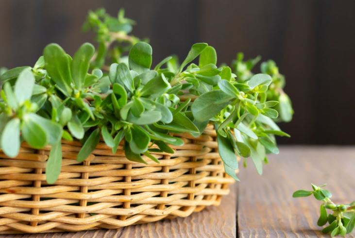 4 loại 'rau trường thọ' được nhiều người yêu thích, ở Việt Nam bán rẻ như cho