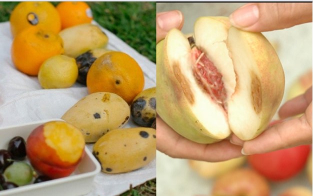 Loại trái cây này là thức ăn ưa thích của tế bào ung thư, người tiếc rẻ vẫn ăn trong vô thức!