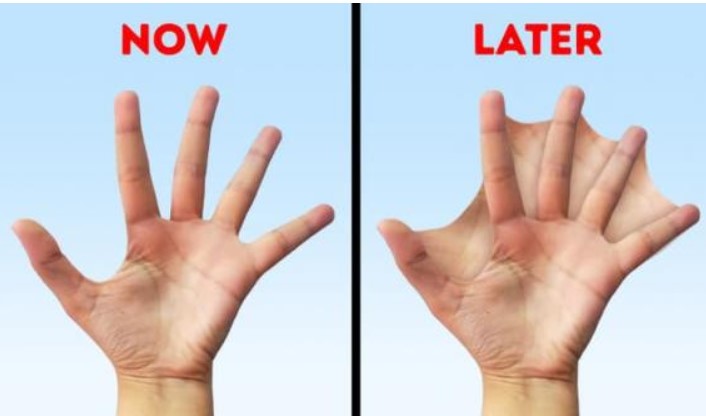 Con người sẽ tiến hóa thế nào trong tương lai? Tay có màng, phụ nữ sẽ trẻ mãi không già?