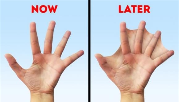 tiến hóa 5 tiến hóa, con người tiến hóa, kiến thức