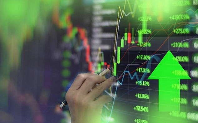 Năm 2024, nhà đầu tư nên bỏ “trứng” vào giỏ nào?