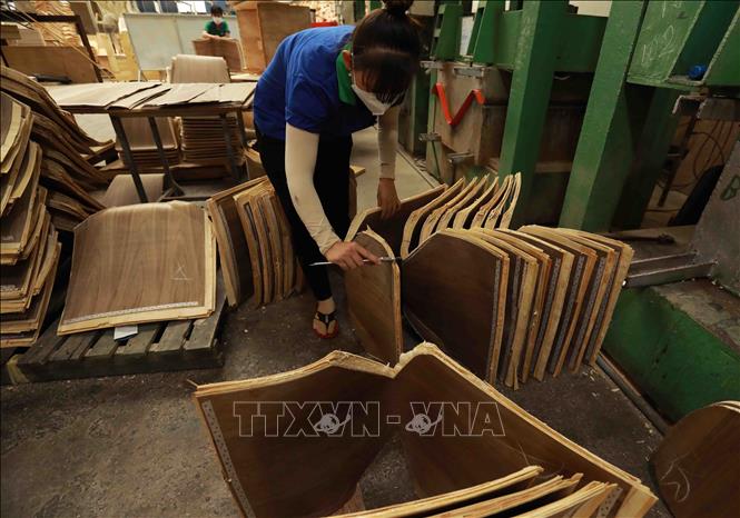 Đơn hàng sẽ đổ về doanh nghiệp gỗ đến quý I/2024